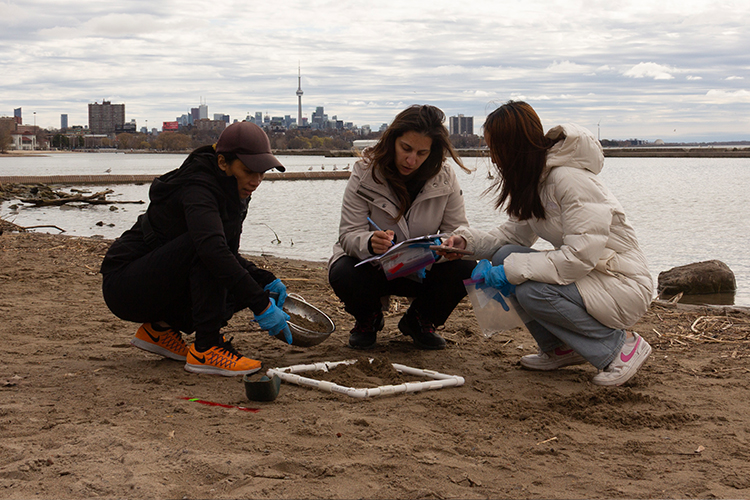 Chelsea Rochman and two members from U of T Trash Team’s on the beach.