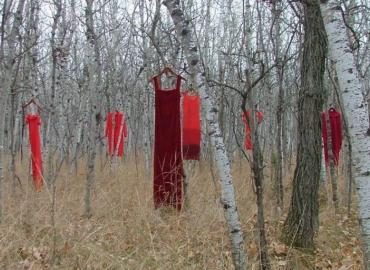 Several red dresses hanging on trees in a forest