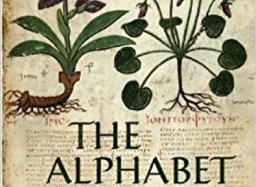 The Alphabet of Galen book cover