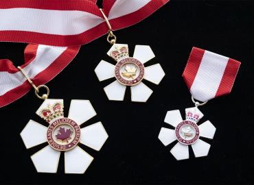 Medals on black felt.