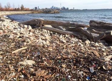 Plastic debris on the shore of Lake Ontario. The Toronto skyline is visible in the background.