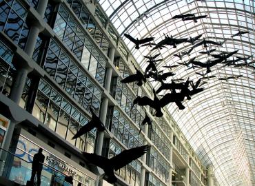 Art installation of fake birds flying across a shopping mall
