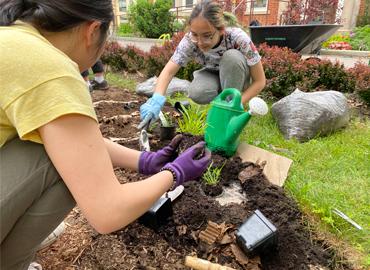 Two woman student kneeling and digging in the earth