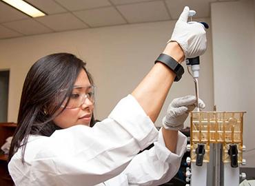 Karina Carneiro, an assistant professor in the Faculty of Dentistry, in her lab