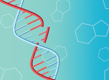 A red and blue illustration of strings twisting and connecting to each other to illustrate DNA.