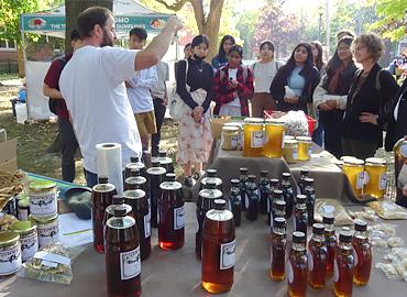 In foreground a table covered in jars of honey - behind table a group of students listening to a man speaking