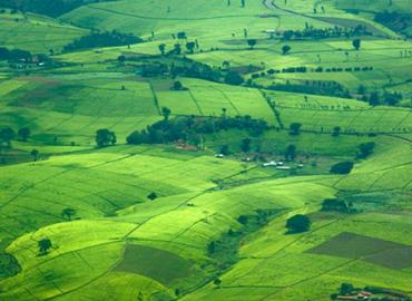 Green rolling farmland