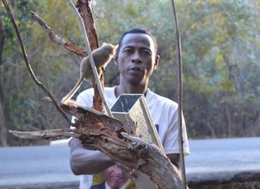 Jean Bosco (Jhonny) Kenedy releasing a lemur back into the wild.