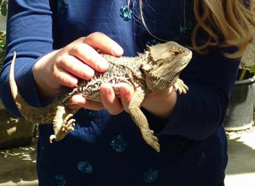 A student holds &amp;quot;Squish,&amp;quot; a bearded dragon