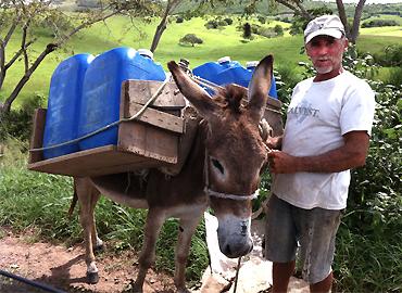 A man holding a donkey&amp;#039;s lead with water bottles on the animal&amp;#039;s back