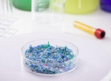 microplastic bits in a petri dish in a lab