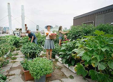 A woman on rooftop garden holding up vegetables - three people in background