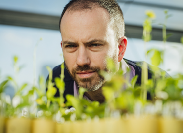 Stephen Wright observing small green plants.