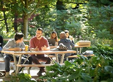 Students sitting on outdoor picnic tables