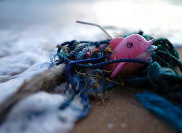 A bundle of rope and a pink dolphin toy on a shoreline with water splashing over the items.