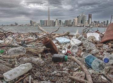 Garbage on the shore of Ward Island in Toronto