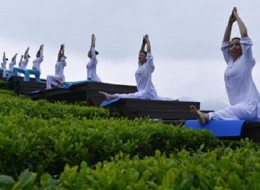 Row of women doing yoga outdoors.