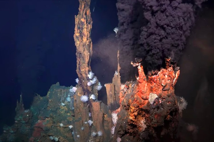 A hydrothermal vent thousands of metres below the surface of the Atlantic