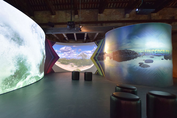 An exhibit with curved walls with projected images of landscapes