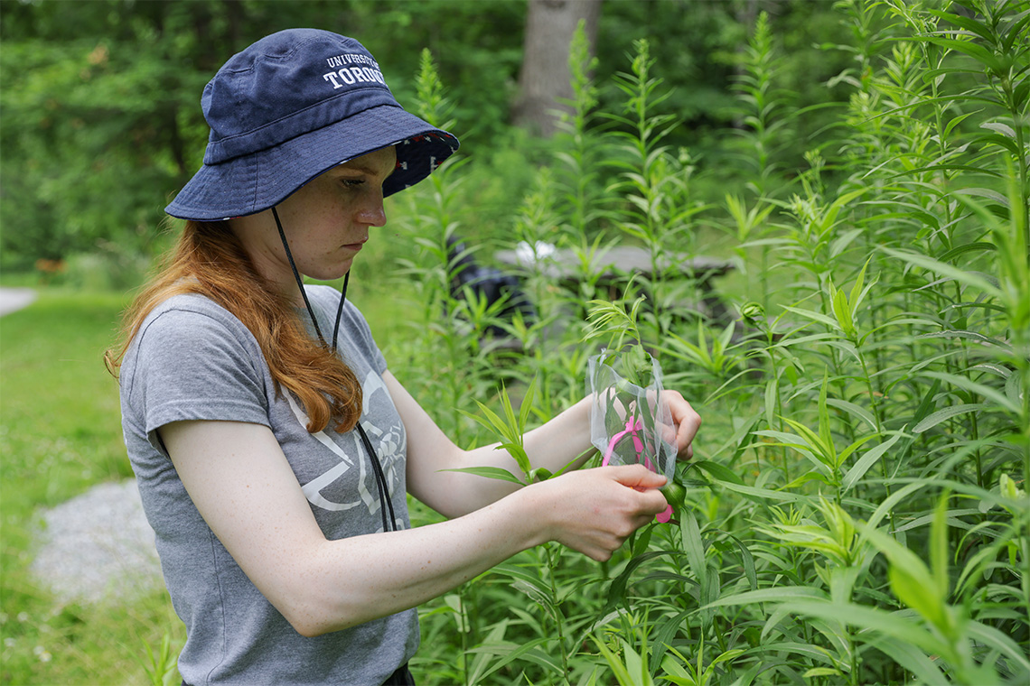 A woman student touching plant life in a forest