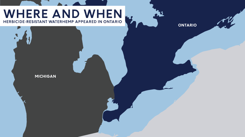 A light blue and dark blue map of Michigan and Ontario showing moving illustrations of green plants popping up.